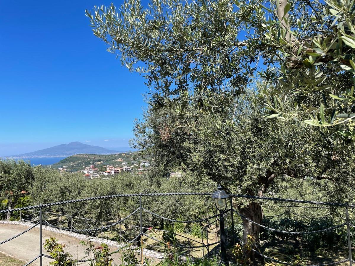 Loren House, Relaxing Location With Seaview Massa Lubrense Dış mekan fotoğraf