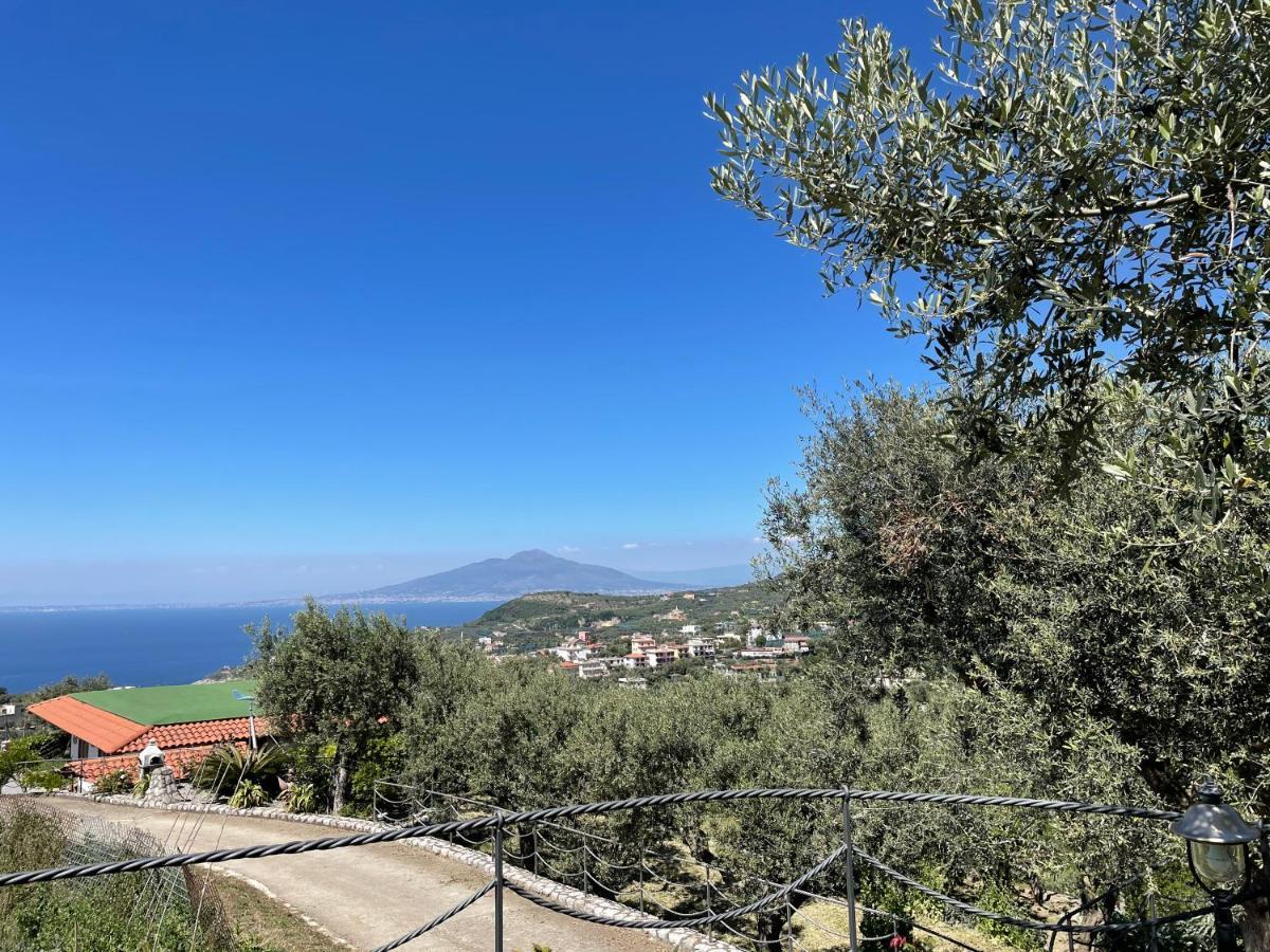 Loren House, Relaxing Location With Seaview Massa Lubrense Dış mekan fotoğraf