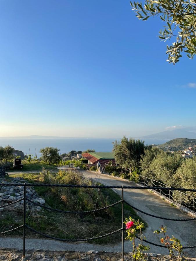 Loren House, Relaxing Location With Seaview Massa Lubrense Dış mekan fotoğraf